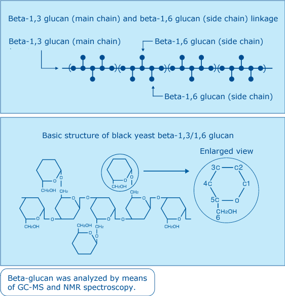 structure of black yeast beta-glucan