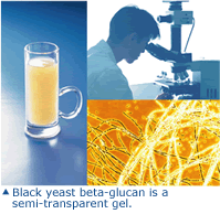 Black yeast beta-glucan is a semi-transparent gel.